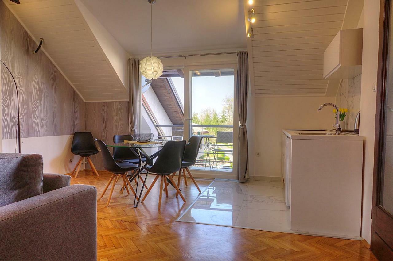 Apartman Studio Sonas 3 With Free Private Parking カルロヴァッツ エクステリア 写真