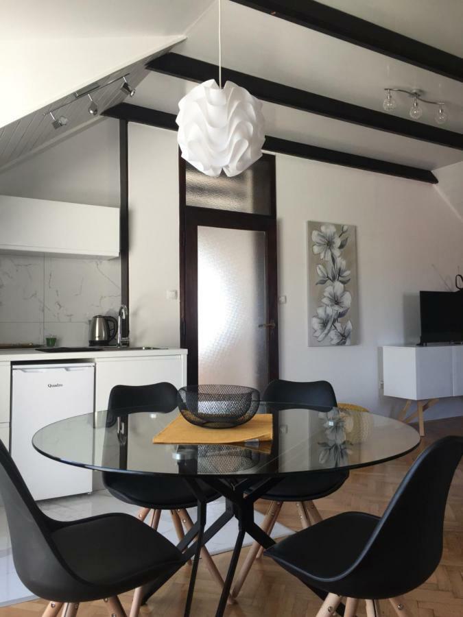 Apartman Studio Sonas 3 With Free Private Parking カルロヴァッツ エクステリア 写真