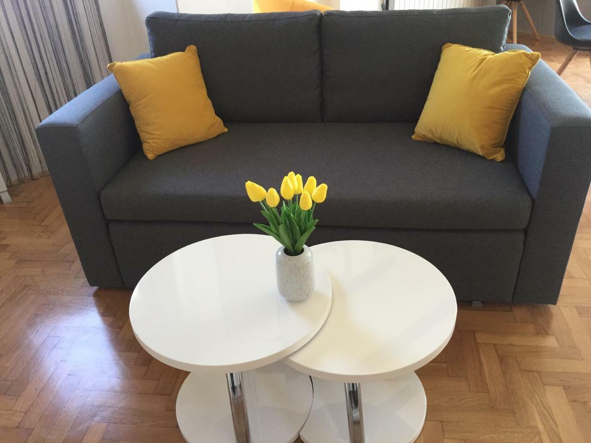 Apartman Studio Sonas 3 With Free Private Parking カルロヴァッツ エクステリア 写真
