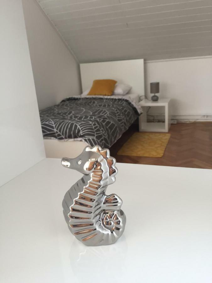 Apartman Studio Sonas 3 With Free Private Parking カルロヴァッツ エクステリア 写真
